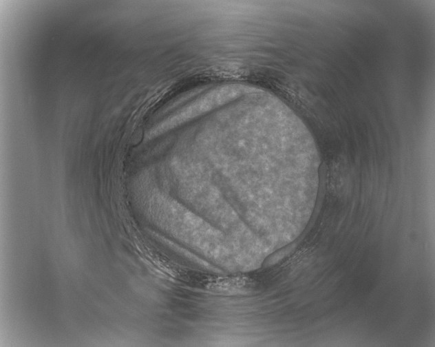 X0000056341201200509161726