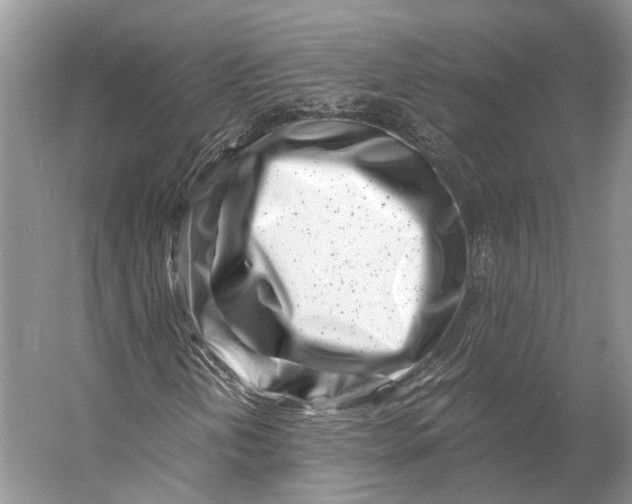 X0000056341202200509161727