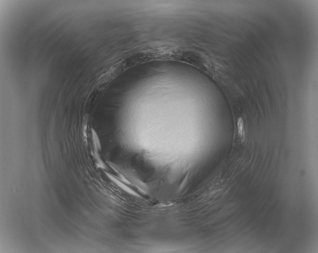 X0000056341203200509161727