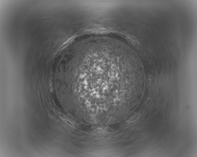 X0000056341205200509161727