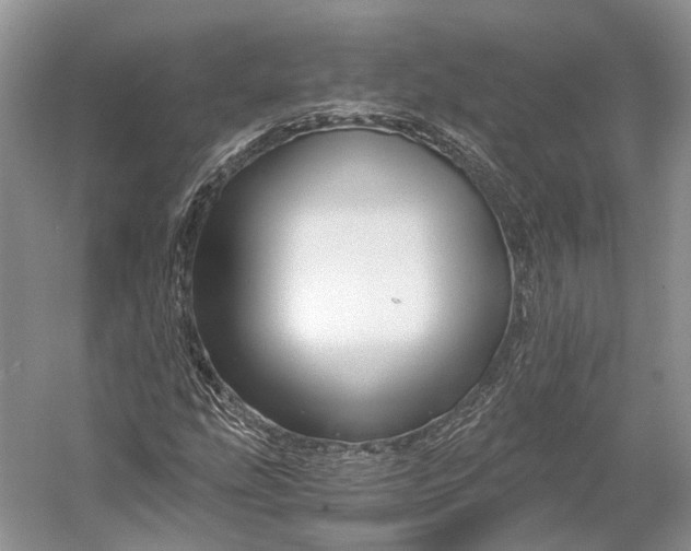 X0000056341207200509161727