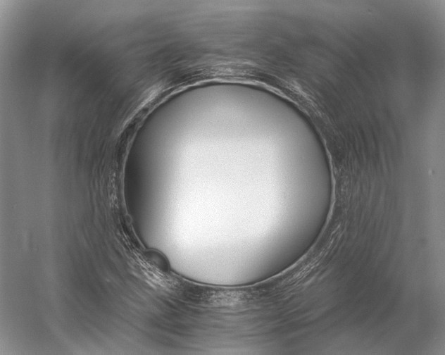 X0000056341211200509161727