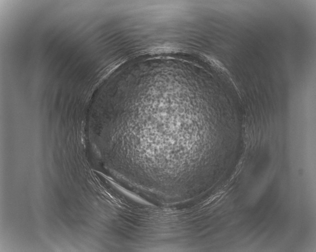 X0000056341217200509161727