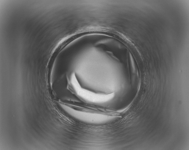 X0000056341222200509161727