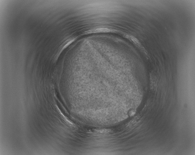 X0000056341225200509161727