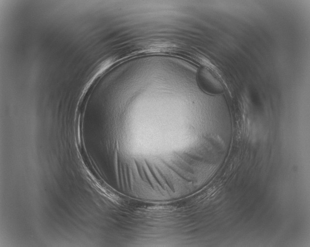 X0000056341227200509161727