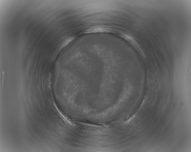 X0000056341233200509161727