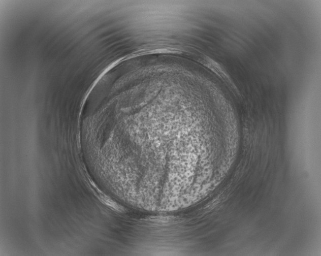 X0000056341236200509161727