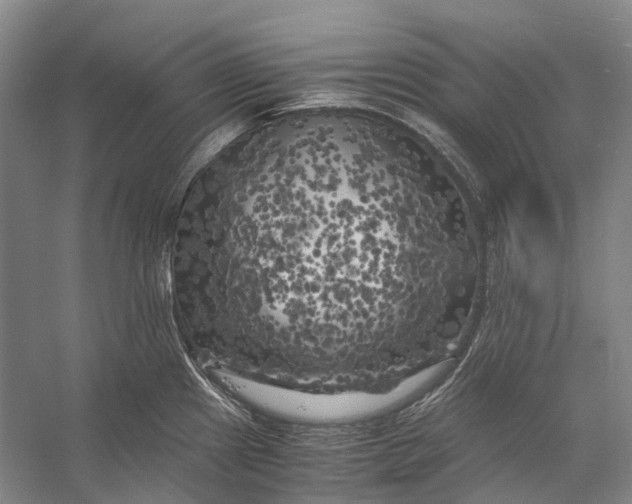 X0000056341241200509161727