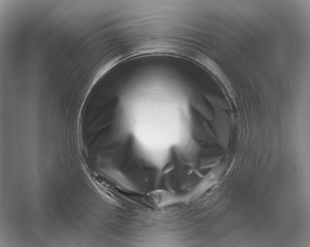 X0000056341242200509161727