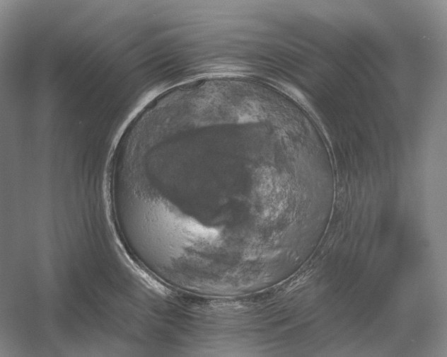 X0000056341243200509161727