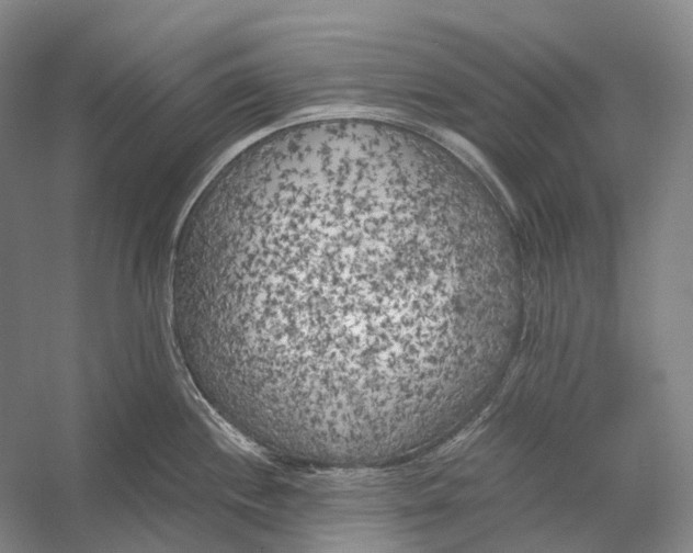 X0000056341244200509161727