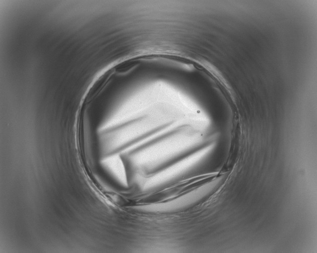 X0000056341246200509161727