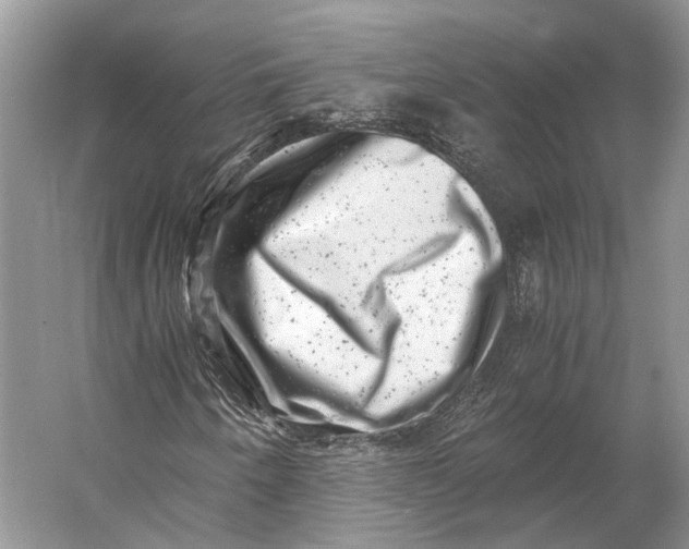 X0000056341250200509161726