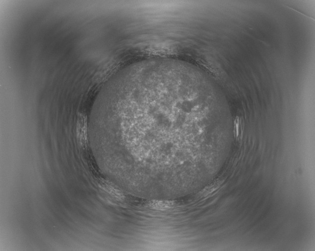X0000056341251200509161726