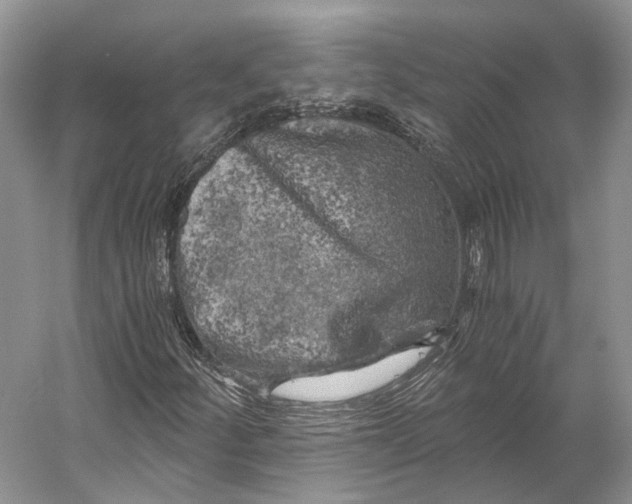 X0000056341252200509161726
