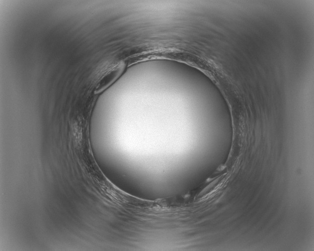 X0000056341257200509161726