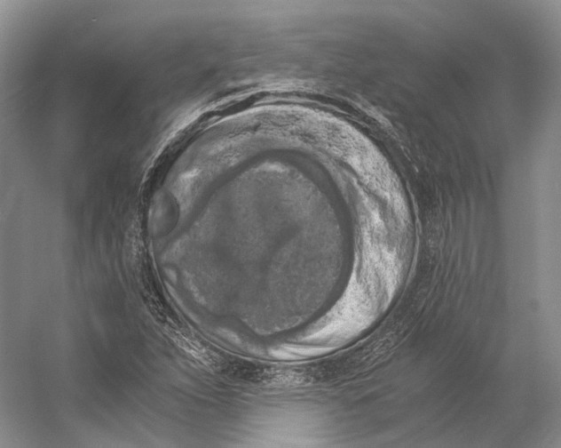 X0000056341263200509161726