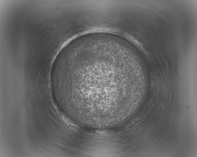 X0000056341264200509161726