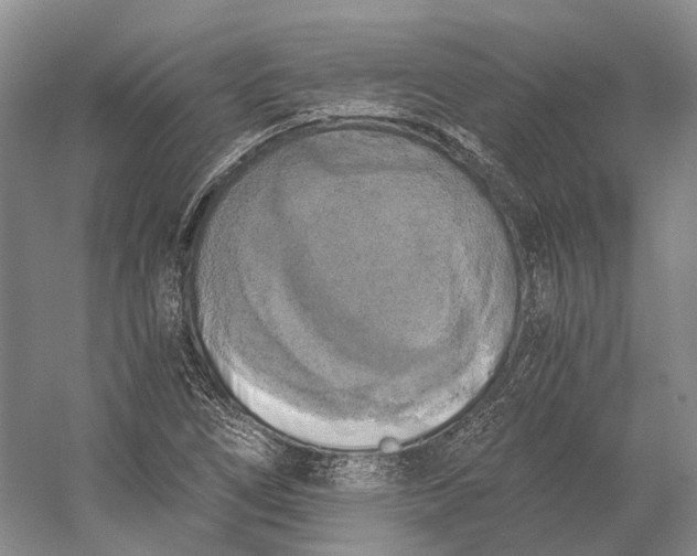 X0000056341266200509161726