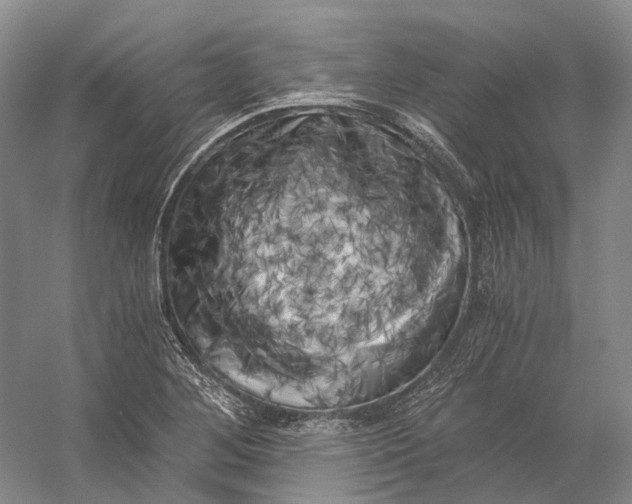 X0000056341268200509161726