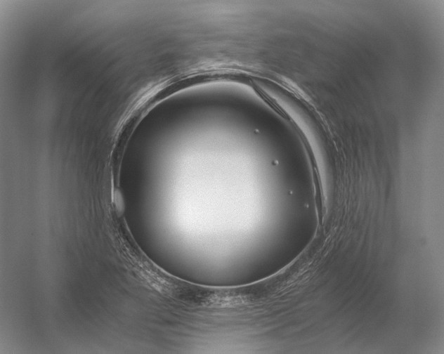 X0000056341269200509161726