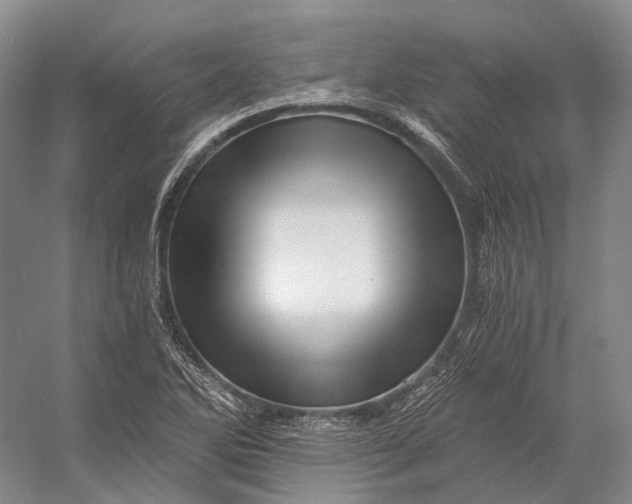 X0000056341270200509161726