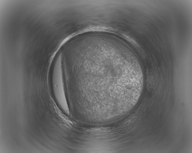 X0000056341272200509161726