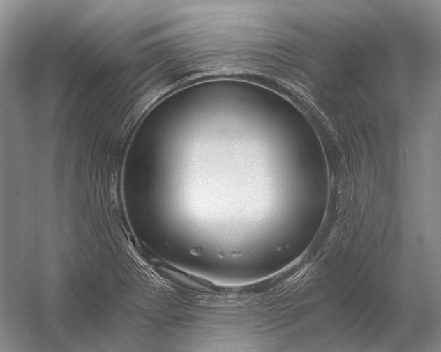 X0000056341273200509161726