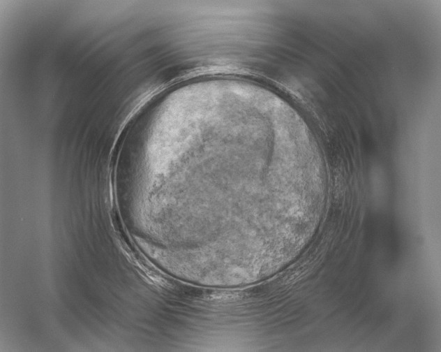 X0000056341274200509161726