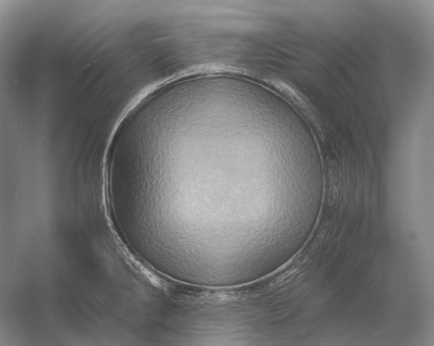 X0000056341286200509161726