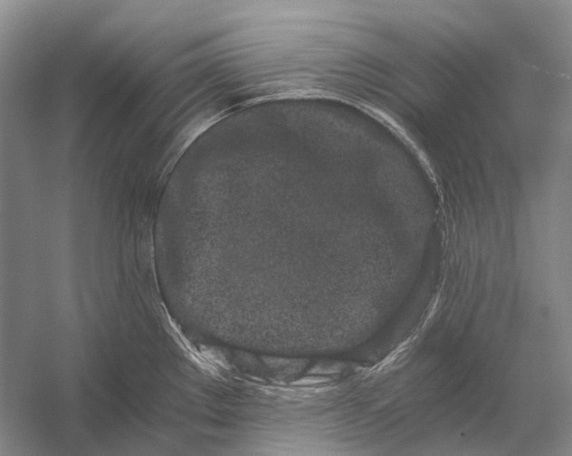 X0000056341289200509161726