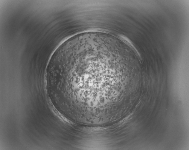 X0000056341292200509161726