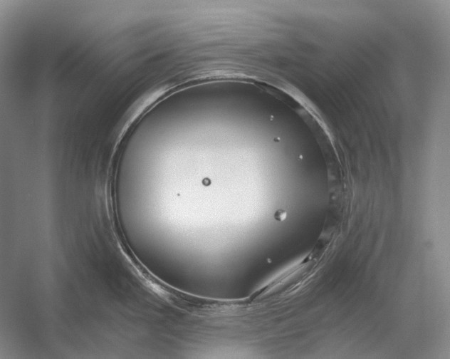X0000056341293200509161726