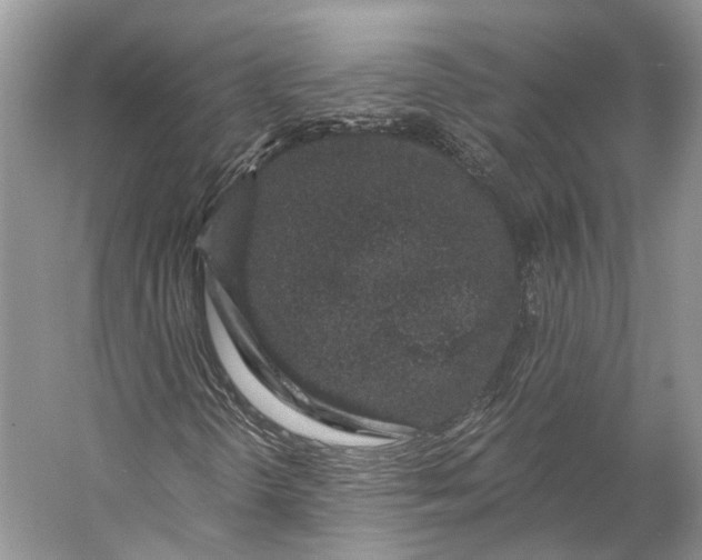 X0000056341298200509161725