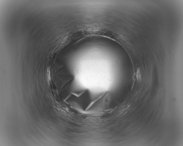 X0000056341299200509161725