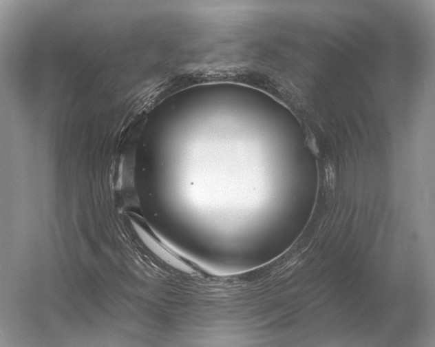 X0000056341300200509161725