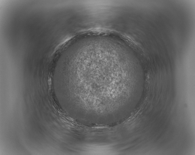 X0000056341302200509161725