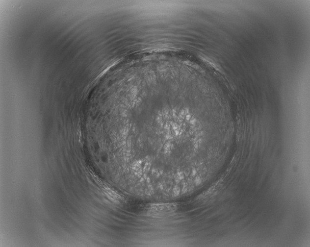 X0000056341305200509161725