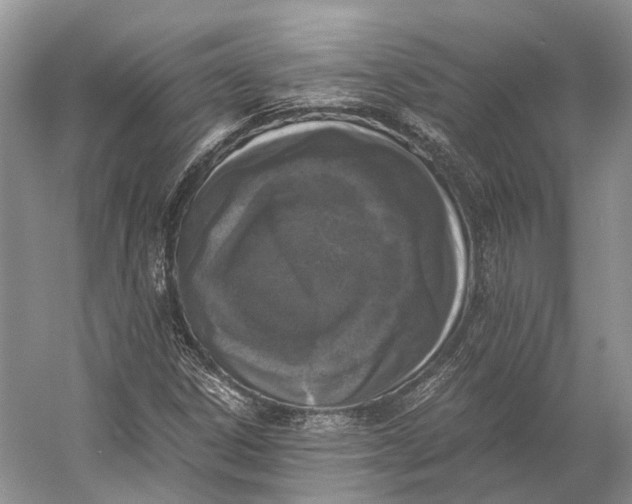 X0000056341306200509161725