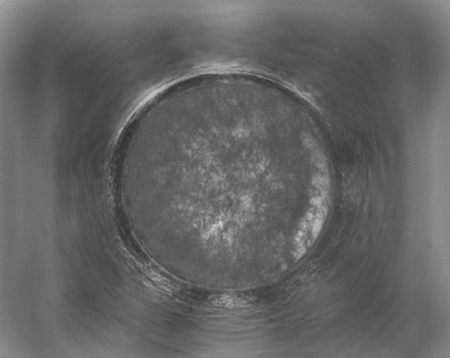 X0000056341311200509161725