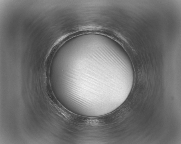 X0000056341315200509161725