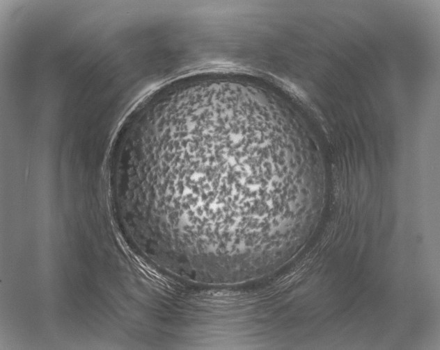 X0000056341318200509161725