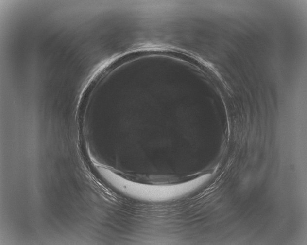 X0000056341319200509161725
