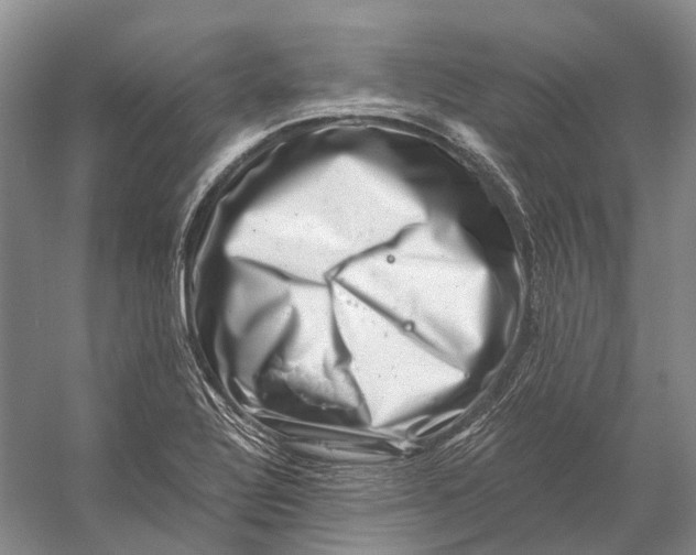 X0000056341320200509161725
