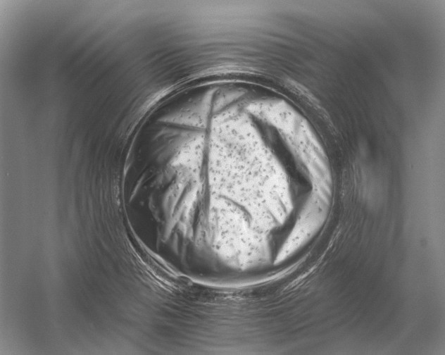 X0000056341321200509161725