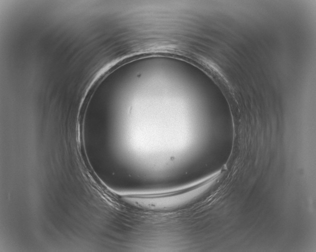 X0000056341324200509161725