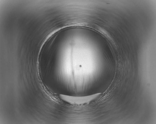 X0000056341332200509161725