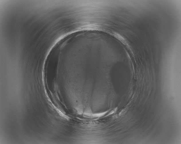 X0000056341334200509161725