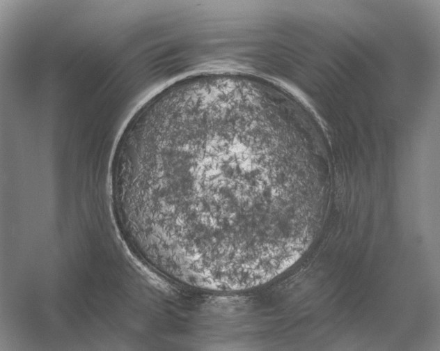 X0000056341335200509161726